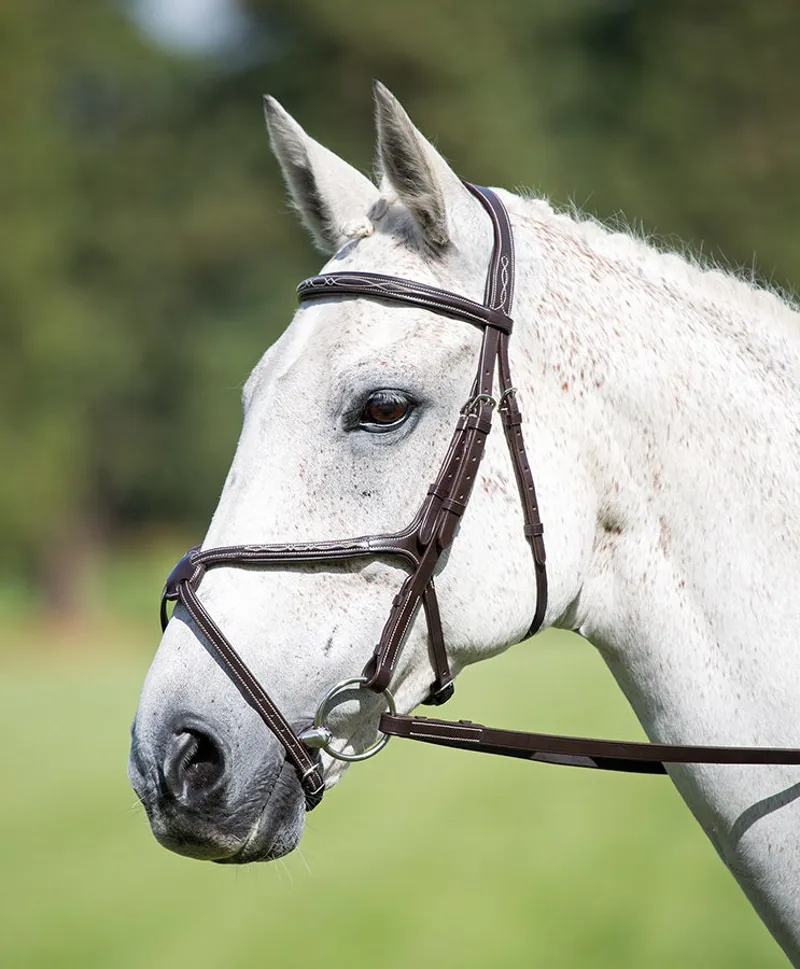 Shires Avignon Grackle Bridle in Havana
